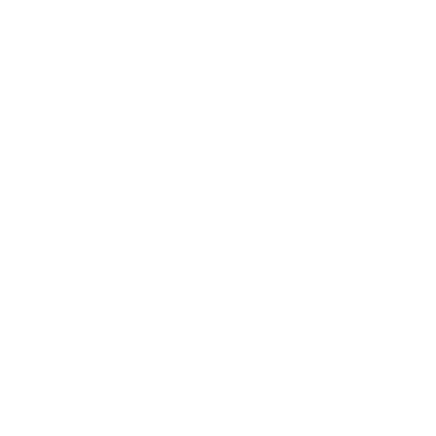 THE PROSPECT